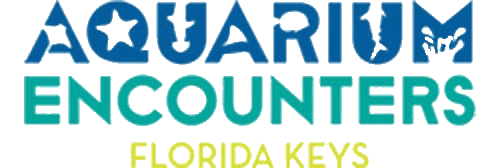 Aquarium Encounters Logo