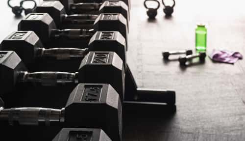 weights lined up in gym