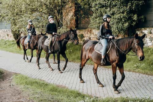 Group riding horseback