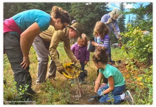Group of kids planting trees for the National Forest Foundation