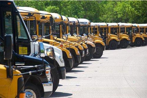 busses lined up for a field trip